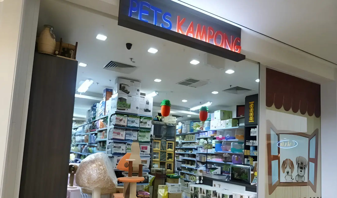 The Potatoman Visits Pets Kampong Before Heading Home