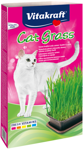 Vitakraft Cat Grass 120g