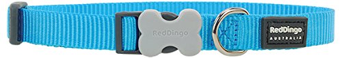 Red Dingo Dog Collar Classic - Turquoise - Available In S, M, ML & L