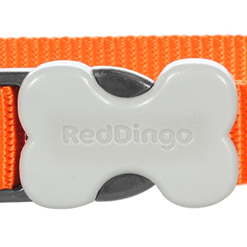 Red Dingo Dog Collar Classic - Orange - Available In S, M, ML & L