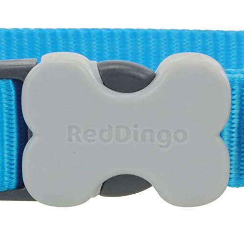 Red Dingo Dog Collar Classic - Turquoise - Available In S, M, ML & L