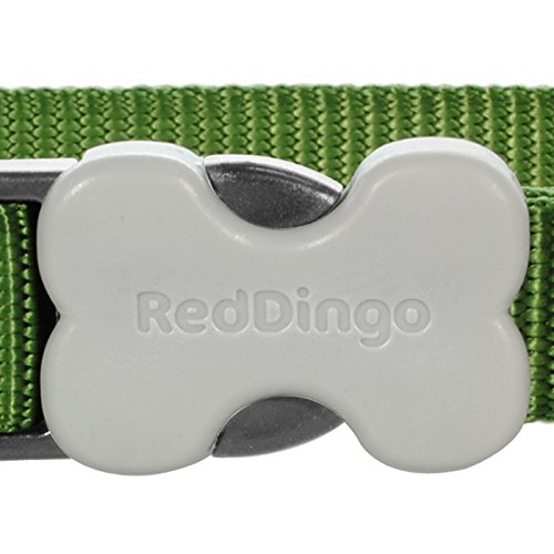 Red Dingo Dog Collar Classic - Green - Available In S, M, ML & L