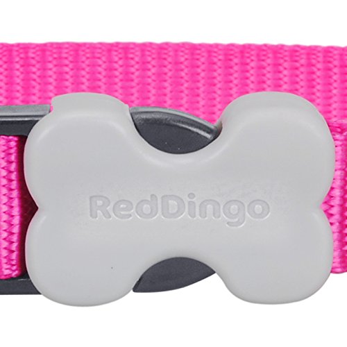 Red Dingo Dog Collar Classic - Hot Pink - Available In S, M, ML & L