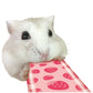 Marukan 'Hamster Puree 5gx6pcs [4 flavours]