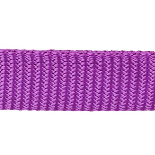 Red Dingo Dog Collar Classic - Purple - Available In S, M, ML & L