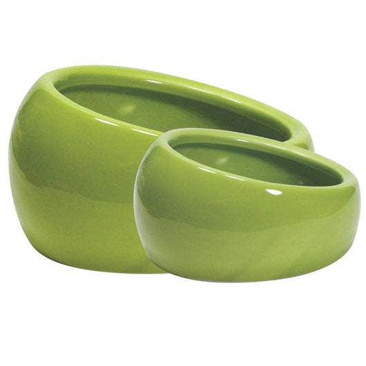 Living World Ergonomic Dish Large 420ml - Available in Green, Blue & Terracotta