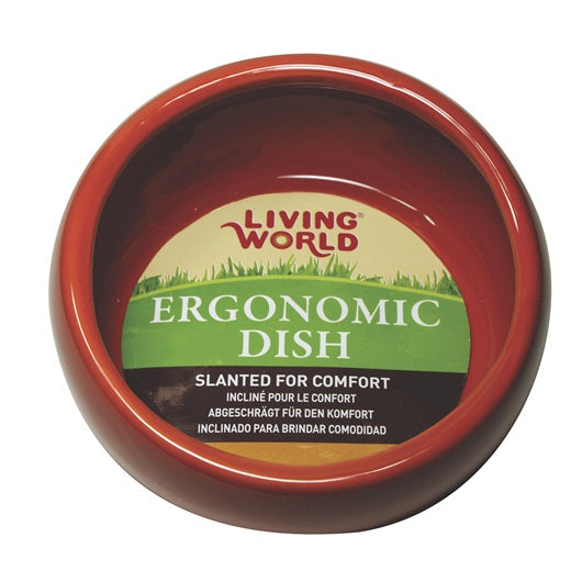 Living World Ergonomic Dish Large 420ml - Available in Green, Blue & Terracotta