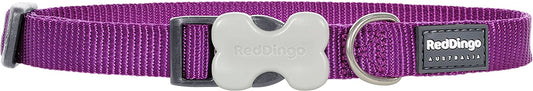 Red Dingo Dog Collar Classic - Purple - Available In S, M, ML & L