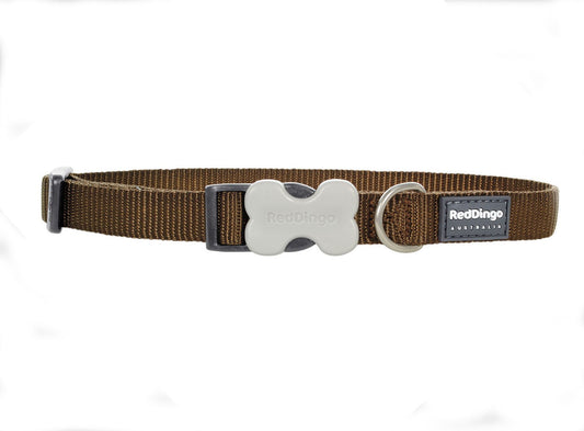 Red Dingo Dog Collar Classic - Brown - Available In S, M, ML & L