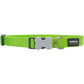 Red Dingo Dog Collar Classic - Lime Green - Available In S, M, ML & L