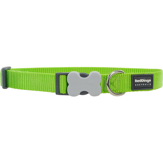 Red Dingo Dog Collar Classic - Lime Green - Available In S, M, ML & L