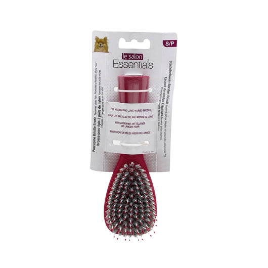 Le Salon 91223 Essentials Dog Porcupine Bristle Brush - Small