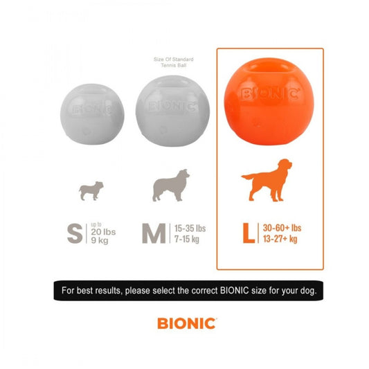 Bionic Ball for Large Dogs (97806) Hagen