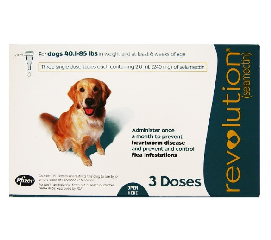 Revolution Topical' Spot On for Dogs 20.1 - 40kg (Teal) 3 Doses