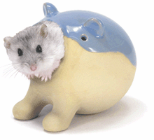 Wild Ceramic Hamster Bath House [WD537]