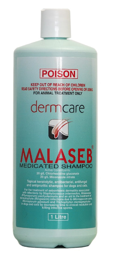 Dermcare Malaseb Medicated Shampoo