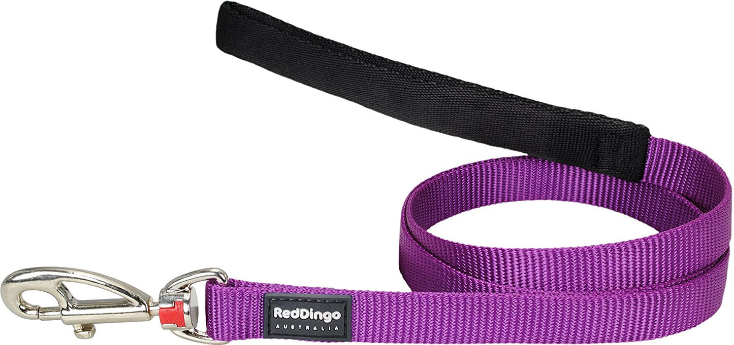 Red Dingo Dog Fixed Length Lead Classic - Purple - Available In S, M, ML & L