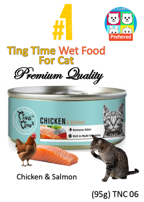 Ting Time Chicken & Salmon for Cats 95g (TNC06) NEW