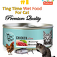 Ting Time Chicken & Tuna for Cats 95g (TNC05) NEW