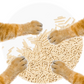 Catit Go Natural Pea Husk Clumping Cat Litter 5.6kg (44144)