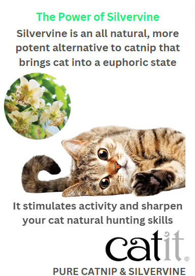 Catit Catnip & Silvervine Powder for Cats 28g (44774)