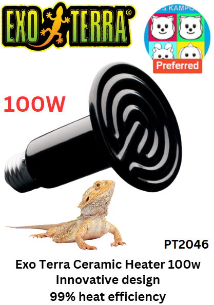 Exo Terra Ceramic Heater 100w (PT2046)