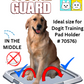 Dogit 70597 Home Guard Training Pad 100 Pack - 56 cm x 56 cm (22" x 22")