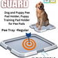 Dogit 70576 Home Guard Pee Tray - Small - 59.6 cm x 59.6 cm (23.5" x 23.5")