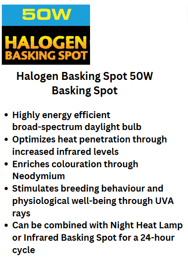 Halogen Basking Spot 50W PT2181