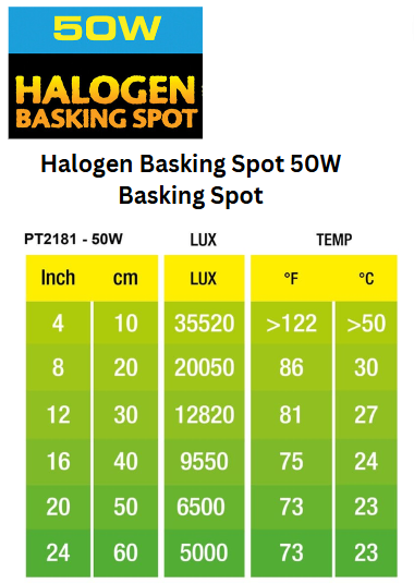 Halogen Basking Spot 50W PT2181