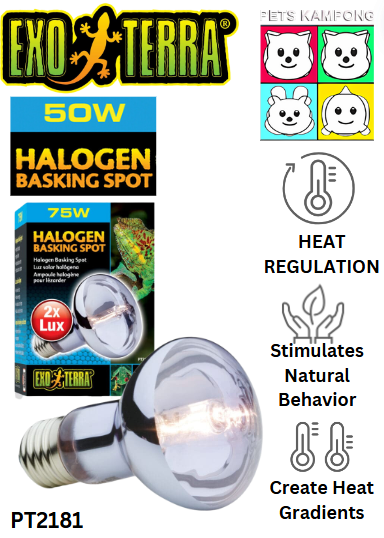 Halogen Basking Spot 50W PT2181