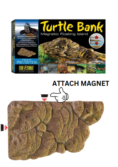 Exo Terra Turtle Bank Medium (PT3801)