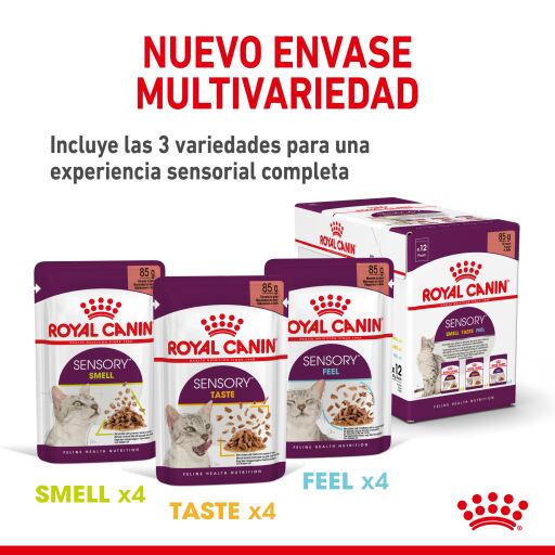 Royal Canin Feline Pouch Sensory Taste Chunks Cat Wet Food in Gravy [85g X12]